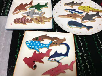 【１７種の】サメクッキー作ってみた【型から】