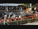 下鴨神社・御手洗（みたらし）祭