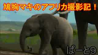 【AFRIKA】鳩胸マキのアフリカ撮影記！ぱーと⑨湿原の象を追え！編
