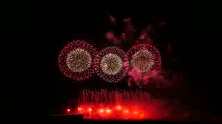 長岡まつり大花火大会2014 この空の花