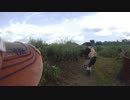 迂闊なやんじがゆく 2014.7.20 DSK川越 ケイホビー定例会その2