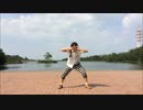 【からとう】 shake it ! 踊ってみた 【はたちやで】