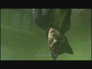 【Batman】リベンジ☆バットマン：二匹目【アーカムシティ】