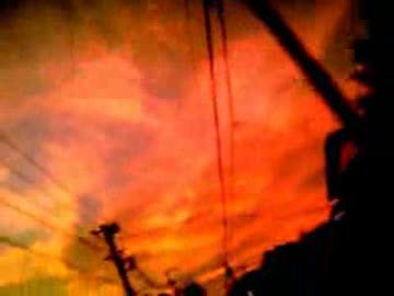 celluloid　歌ってみました