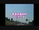 キツネの野遊び　蓬田村　その１