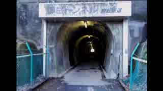 2014年03月10日 廃線跡らしい横田トンネル周辺散歩 - 横田トンネル Part1