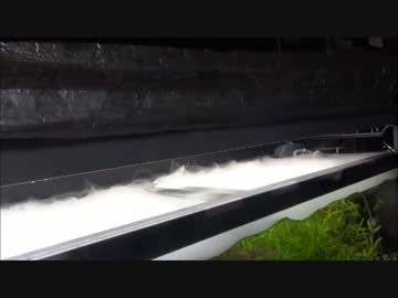 【水槽74】ドライアイス…あほ【もりぞう】