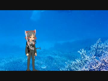 海に行くRIM一家@KNN.ne.jp