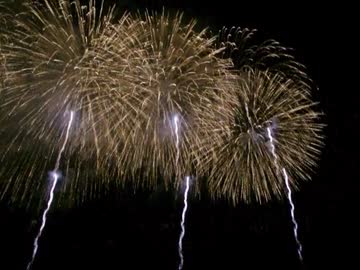 【長岡まつり大花火大会】　フェニックス１０