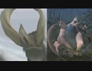 【ゆっくり実況】モンスターハンターポータブル2ndG【3狩目】