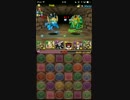 【パズドラ】水曜ダンジョン 地獄級 3分【バステトPT】