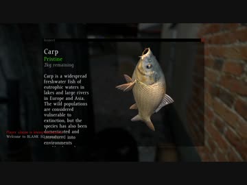 【DayZ:SA】魚を売る