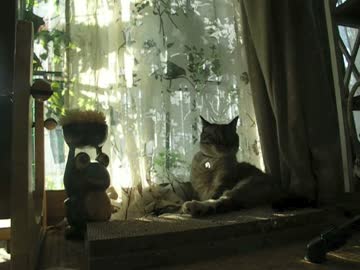 早朝花壇に水をやるパパと眺めるジャンくん