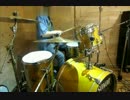 【TOSHI】HANA~いのちの芽ばえ～を叩いてみた。