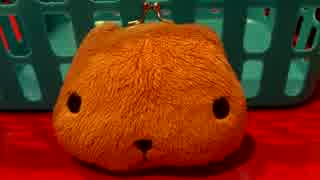 【歌ってみた】私たちは未来の花【ヒトカラ動画】