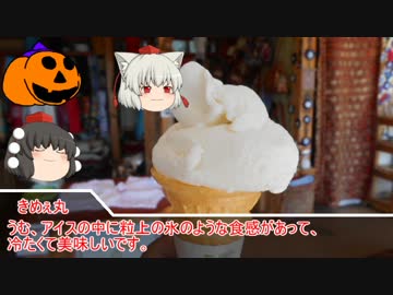 ゆっくり達の突発旅