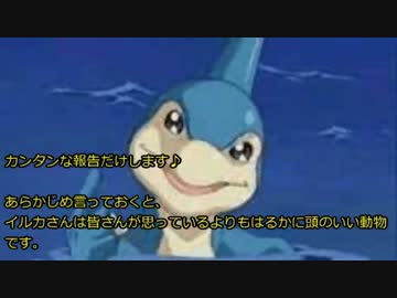 人気の ズーフィリア 動画 8本 ニコニコ動画