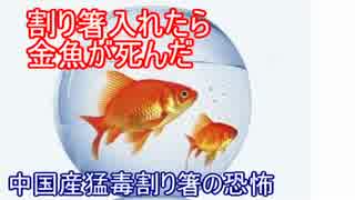 割り箸入れたら金魚が死んだ…中国産猛毒割り箸の恐怖