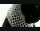 ぶぶぅ アントワネット