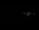 猫　イタズラ