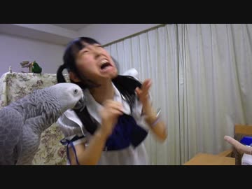 【桐原真奈】+♂　顔で踊ってみた。