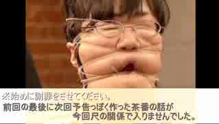 【実況】突っ込みどころ満載なポケモンを初実況part10