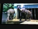 笑いの剣CM