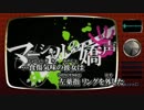 【ニコカラ】マーシャルの嬌声 +4【off vocal】