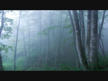 霧雨が降る森【ボイスドラマ】３　～阿座河村～