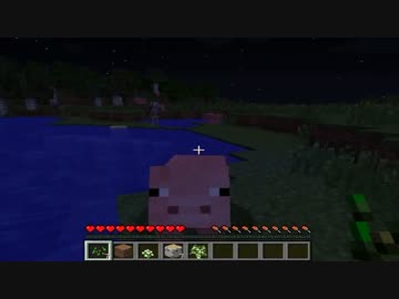 【日刊】マインクラフト〝ほぼ〝初見プレイ【Minecraft】■part3