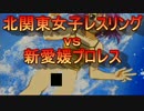 【３社長対抗戦2014】レッスルエンジェル２【勝ち抜き戦1　KWWvsNEW】