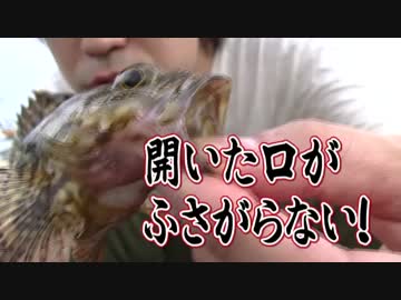 【魚釣り】お魚１００種　釣れるかな？【実況】 part 27