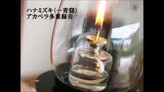 ハナミズキ（一青窈）　アカペラ多重録音
