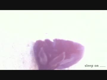 【NNI】　sleep on ......　【インスト】