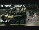 【MMD物理演算】「飛び散れ！山猫さん」　番外編5【WoT】