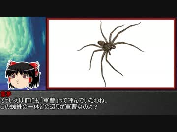 ゆっくり霊夢とやる夫が学ぶ 昆虫大百科 番外編part2