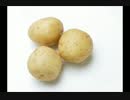 オリジナル　インスト曲「ジャガイモ」