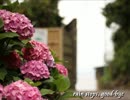 rain stops,good-bye 弾き語りしてみた。