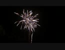 2014.8.9 （静岡）袋井花火 「雪の華」