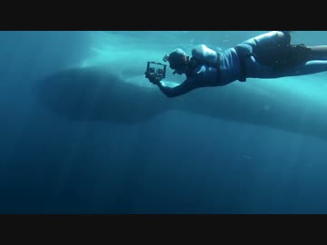 GoProで撮影された美しすぎる世界