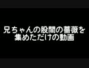 兄ちゃんの股間のバラを集めただけの動画