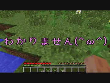 【日刊】マインクラフト〝ほぼ〝初見プレイ【Minecraft】■part5
