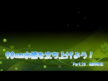90cm水槽を立ち上げよう！ Part.10