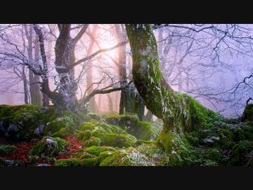 【オリジナル・NNI】神秘的な場所【BGM・素材】