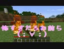 【日刊】マインクラフト〝ほぼ〝初見プレイ【Minecraft】■part6