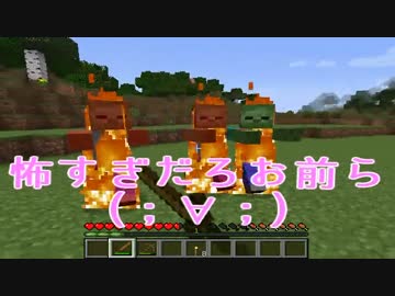 【日刊】マインクラフト〝ほぼ〝初見プレイ【Minecraft】■part6