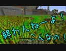 【Minecraft実況】サバＱ！第１話～りるまちゃん編～【ちくPHAB】