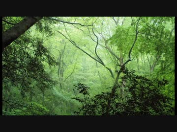 【東方自作アレンジ】無間の鐘を生活音でアレンジ