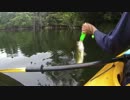 【カヤック】夏はトップウォーター【バス】