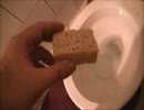 ライスクリスピートリートをトイレに流してみた